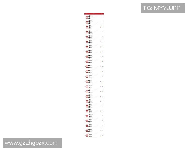 武汉羽毛球队实力飙升再创佳绩引领全国羽毛球排名新高度